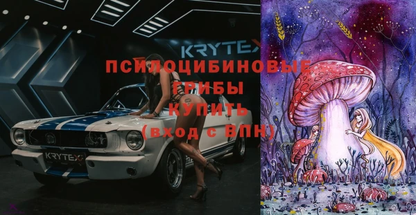 PSILOCYBIN Нягань